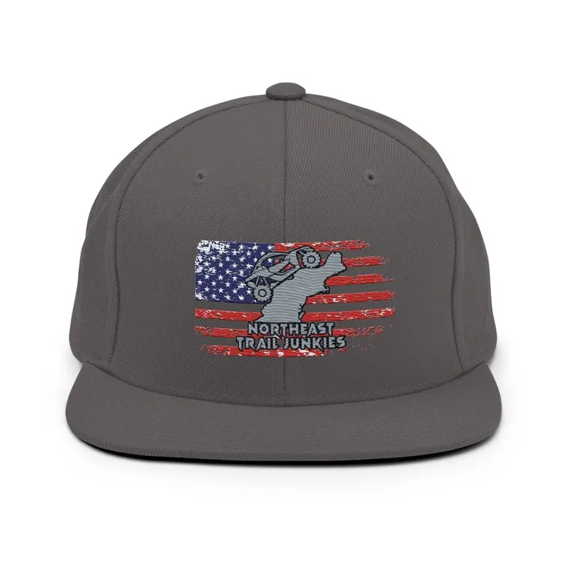 NTJ Flag Logo Hat